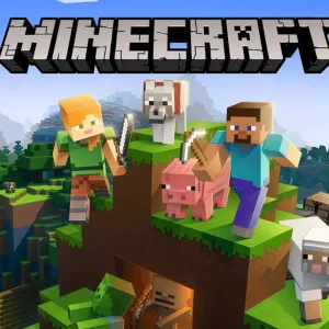 Minecraft Server